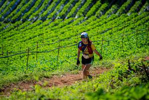 BIB: 
                            <button type="button" onclick="openModal(19162886)" class="btn btn-primary btn-sm float-right btn-popup" data-toggle="modal" data-target=".modal-high-quality">
                        <i class="fas fa-shopping-cart"></i> Add to Cart
                    </button>
                                            <button type="button" onclick="isThisMe(19162886, true)" class="btn btn-success btn-sm float-right btn-popup btn-isme hidden" data-toggle="tooltip" data-placement="bottom" title="นี่คือรูปของคุณใช่ไหม คลิกที่นี่เพื่อเอาเข้าอัลบั้ม">
                        <i class="fas fa-plus"></i> Add to album
                    </button>
                    <button type="button" onclick="isThisMe(19162886, false)" class="btn btn-warning btn-sm float-right btn-popup btn-isnotme hidden">
                        <i class="fas fa-ban"></i> Remove from album
                    </button>